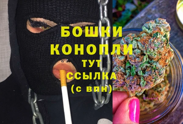 PSILOCYBIN Богородск